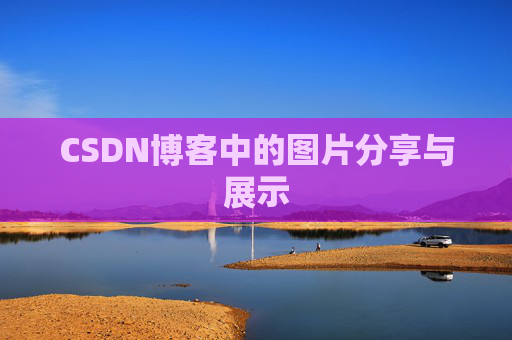 CSDN博客中的图片分享与展示